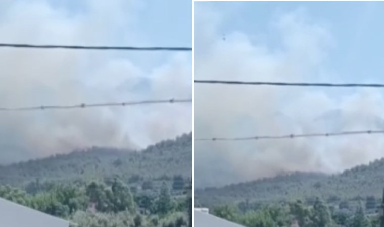 Hatay yerleşim birimleri yakınında orman yangını!