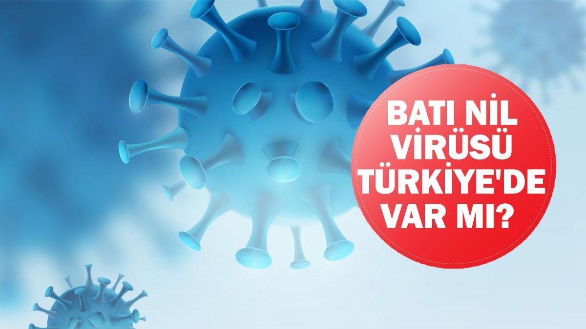 Batı Nil virüsü Türkiye'de var mı? Sağlık Bakanlığı'ndan Batı Nil Virüsü Açıklaması!
