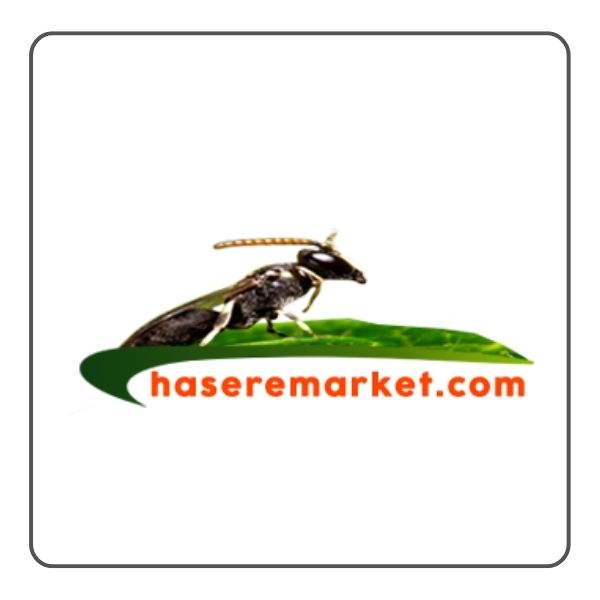 Haşere Market