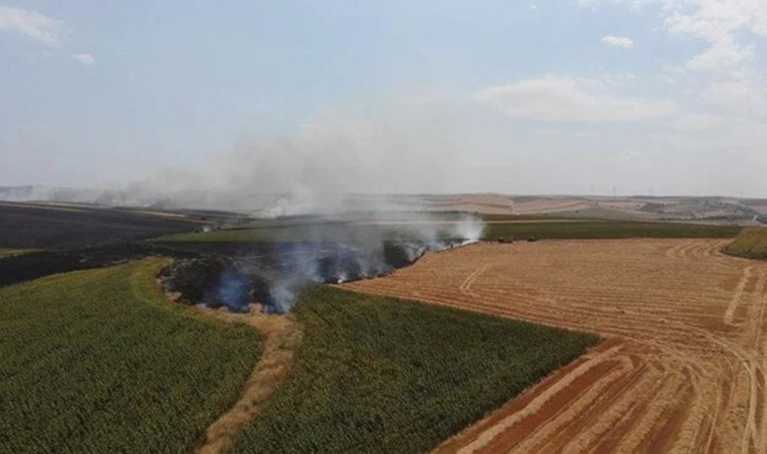Tekirdağ'da anız yangını: 500 dönüm zarar gördü - Son Dakika Türkiye Haberleri