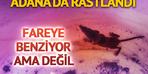 Adana'da bulundu!  Fareye benziyor ama değil